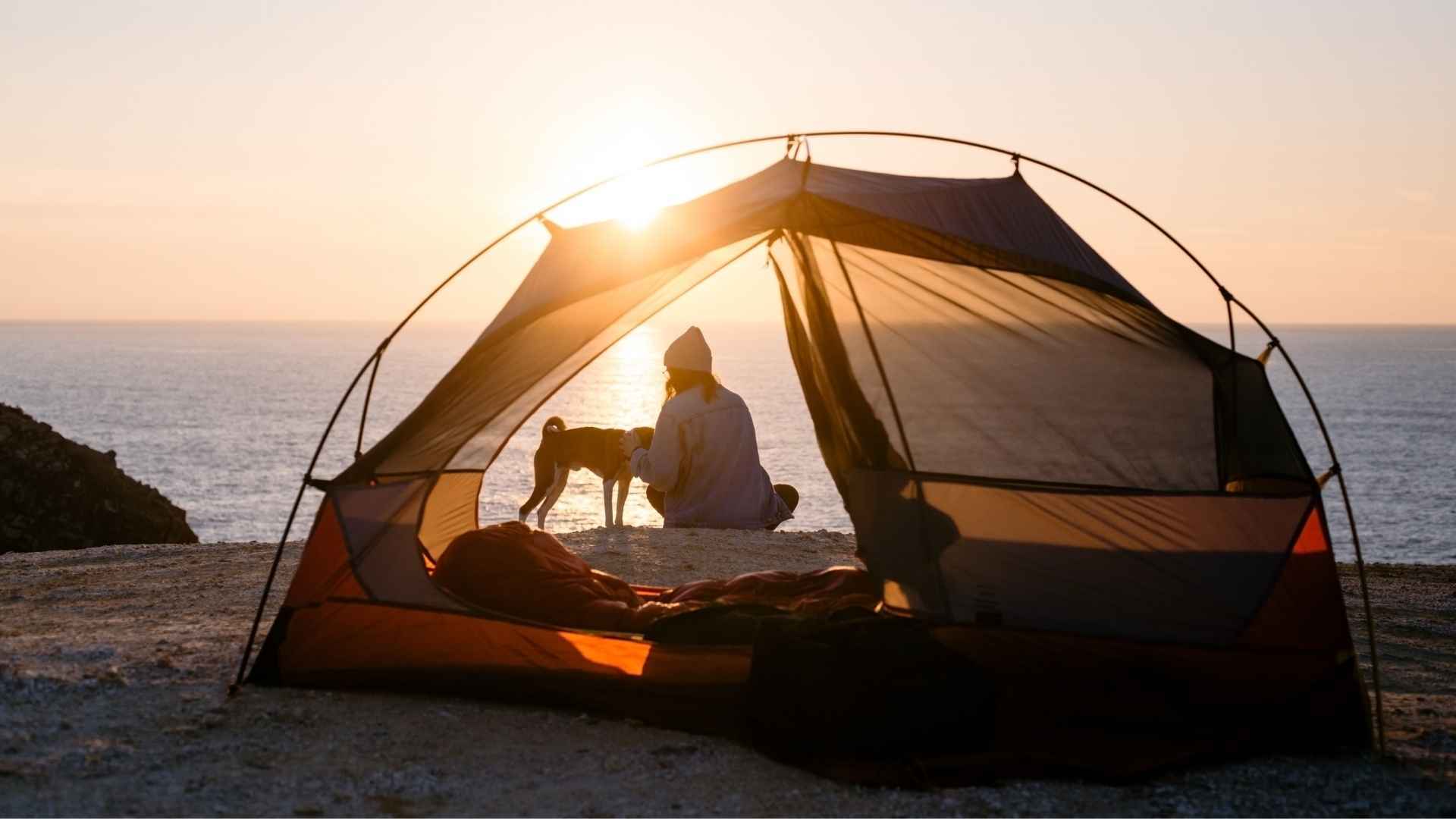 Camping para perros en España